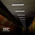 23083-i4.jpg