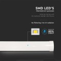 20355-i2.jpg