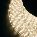 38576_2.jpg
