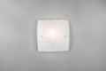 79b5c3f6087de7fbf93a9f6dc4db437a