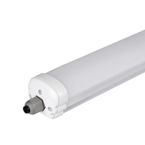 2162851-p1.jpg