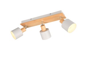 SHANTI lampa sufitowa 862700376 Trio - NEGOCJUJ CENĘ!