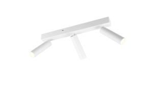 AMBALA lampa sufitowa 849210331 Trio - NEGOCJUJ CENĘ!