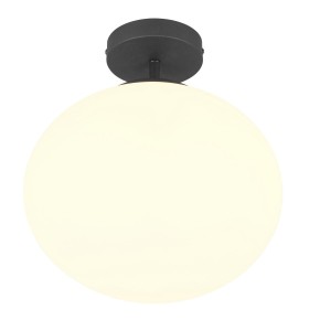 FOMENTO lampa sufitowa 663100132 Trio - NEGOCJUJ CENĘ!