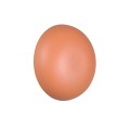 73af7b28f612259e98b1fe5dd3a8349d