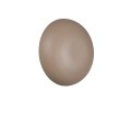 61a6ff4e7257db031fb7182eafbd17ce