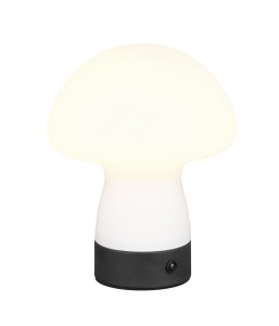 DOOLEY lampa stolikowa R54981131 RL - NEGOCJUJ CENĘ!