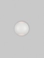 79cbfa72be24351ec1daa48d4e43a44f