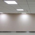 216380-a2_1.jpg
