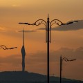23835-a2.jpg