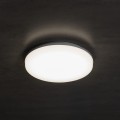 26439_9.jpg