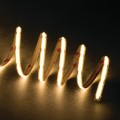46290_1.jpg