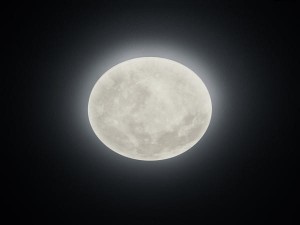 LUNAR oprawa sufitowa 627514000 TRIO - NEGOCJUJ CENĘ!