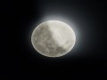 126602