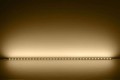 TGW0656BC_3.jpg
