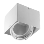 PIREO I sufitowa oprawa natynkowa pojedyncza biała GTV