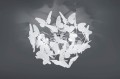butterfly4.JPG