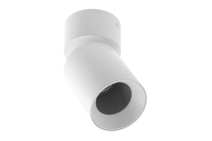 FARGO sufitowa oprawa punktowa okrągła wychylna biała GTV