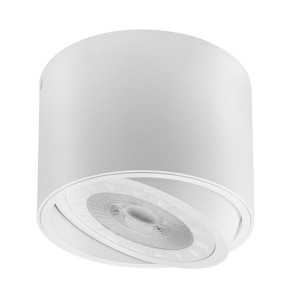 ISUMI sufitowa oprawa natynkowa pojedyncza biała GTV