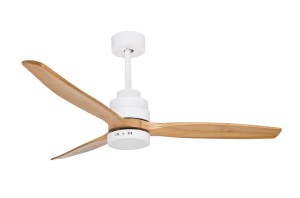 SEGOVIA LE42554 Luces Exclusivas - NEGOCJUJ CENĘ!