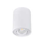 BORD DLP-50-W sufitowa oprawa punktowa biała 22551 Kanlux