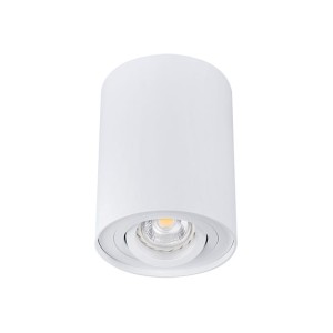 BORD DLP-50-W sufitowa oprawa punktowa biała 22551 Kanlux