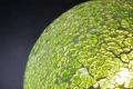 28747mi14_1120x1120.jpg