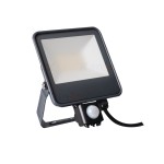 IQ-LED FL-30W-NW-SE naświetlacz LED z czujnikiem ruchu 4000K 33887 Kanlux