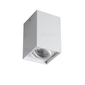 GORD XS DLP-50-W sufitowa oprawa punktowa biała 25477 Kanlux