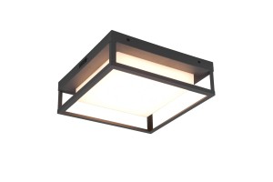 WITHAM lampa sufitowa 677860142 Trio - NEGOCJUJ CENĘ!