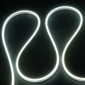 37236_2.jpg