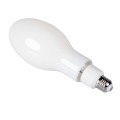 ceb8333a5e4eb1219a02146271638146